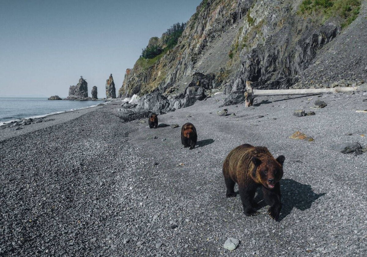 В каком море находятся шантарские острова впр