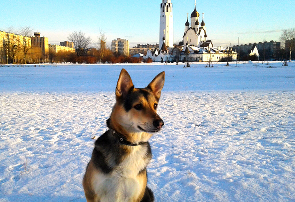 Ева зимой на прогулке