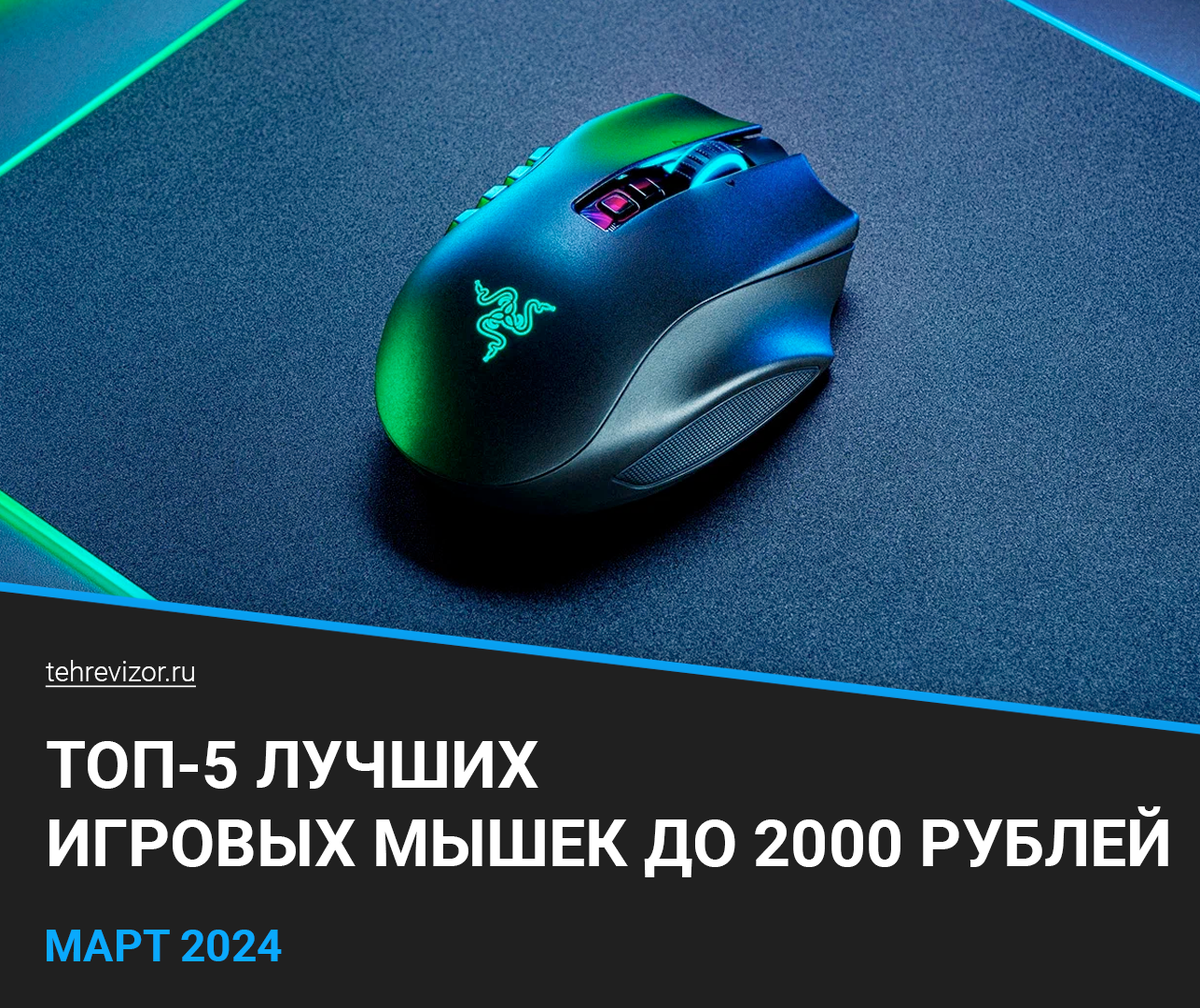 ТОП 5 лучших игровых мышек до 2000 рублей: рейтинг недорогих мышек 2024  года | техРевизор - рейтинги и обзоры лучшего | Дзен