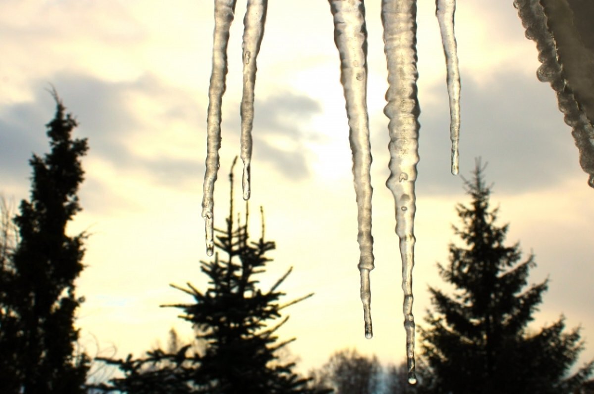    4 марта температура воздуха повысится до -1…+4°С