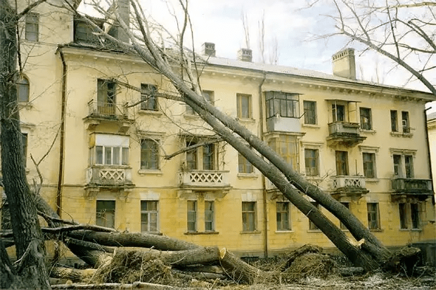 Дерево, рухнувшее на жилой дом