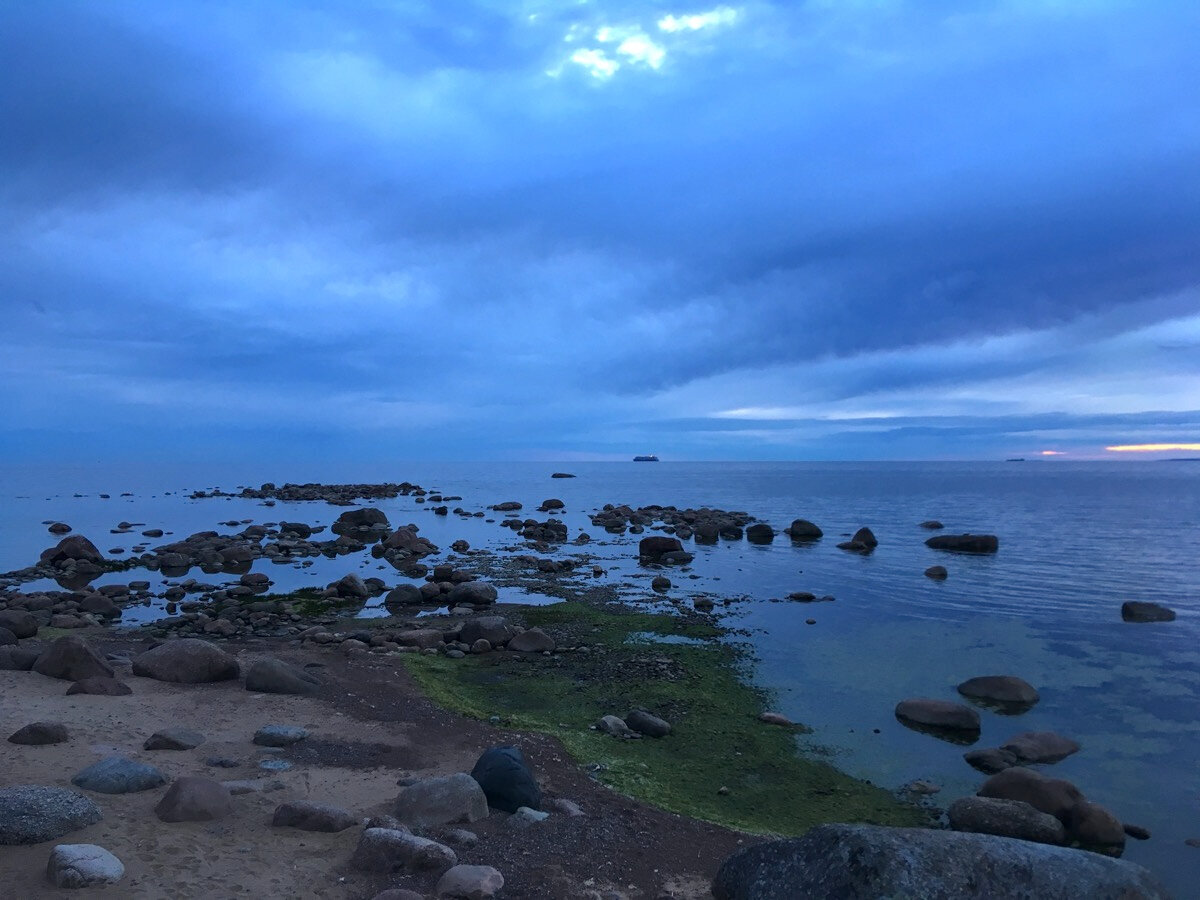 Кажется, что вы где-то на острове, далеко в море, а вокруг — норвежские фьорды, тёмно-синие киты и серебристые морские котики
