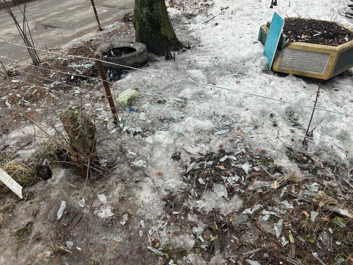 Фото: Дарья Дмитриева / MR7