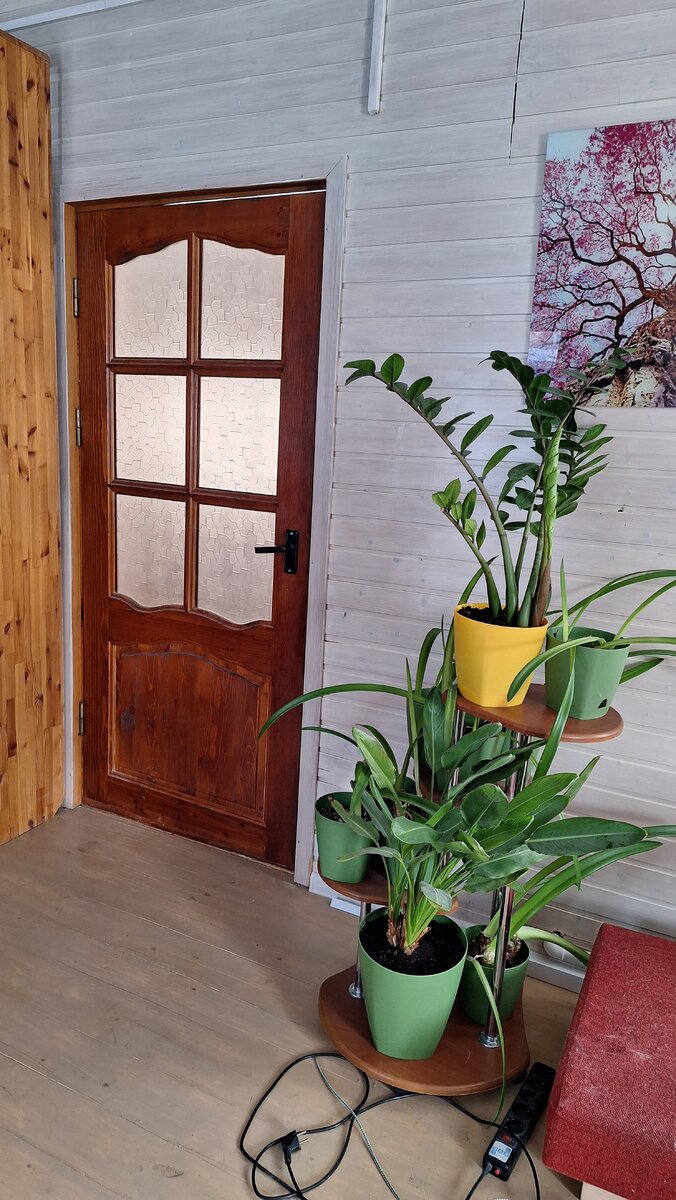 Фото автора. Та самая дверь в Тайную комнату. 