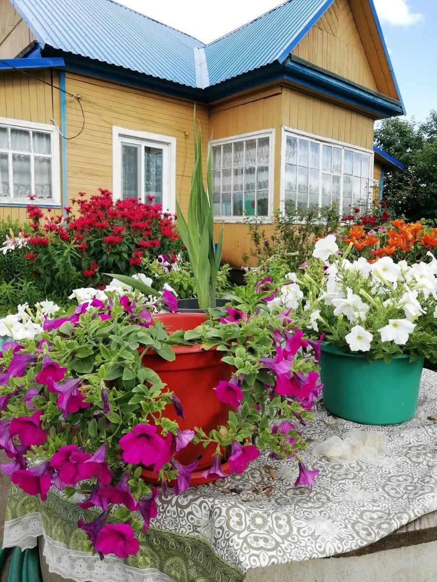 Наш дом в деревне