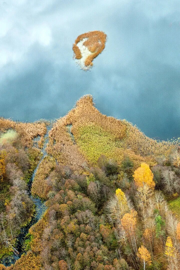 Фото национального парка "Смоленское Поозерье" Геннадий Дубино