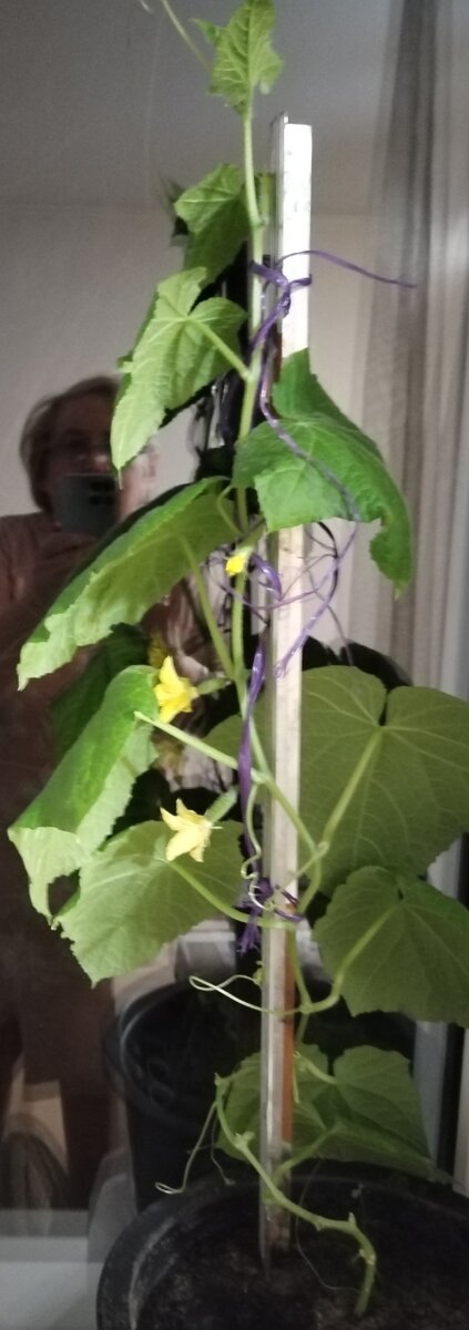 Фото 20 марта 2023 года