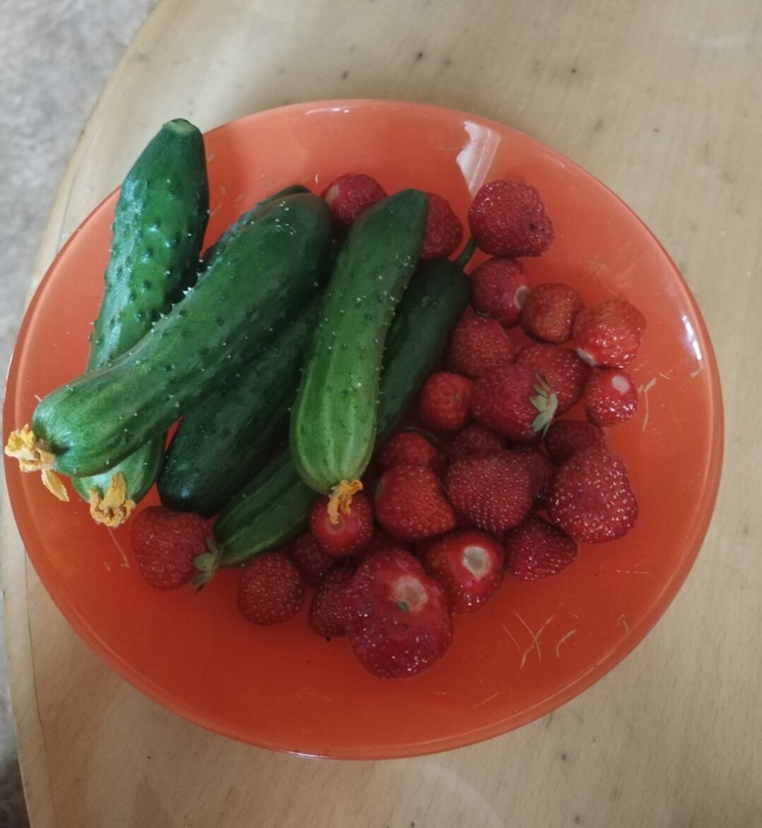 Фото 10 июня 2023 года