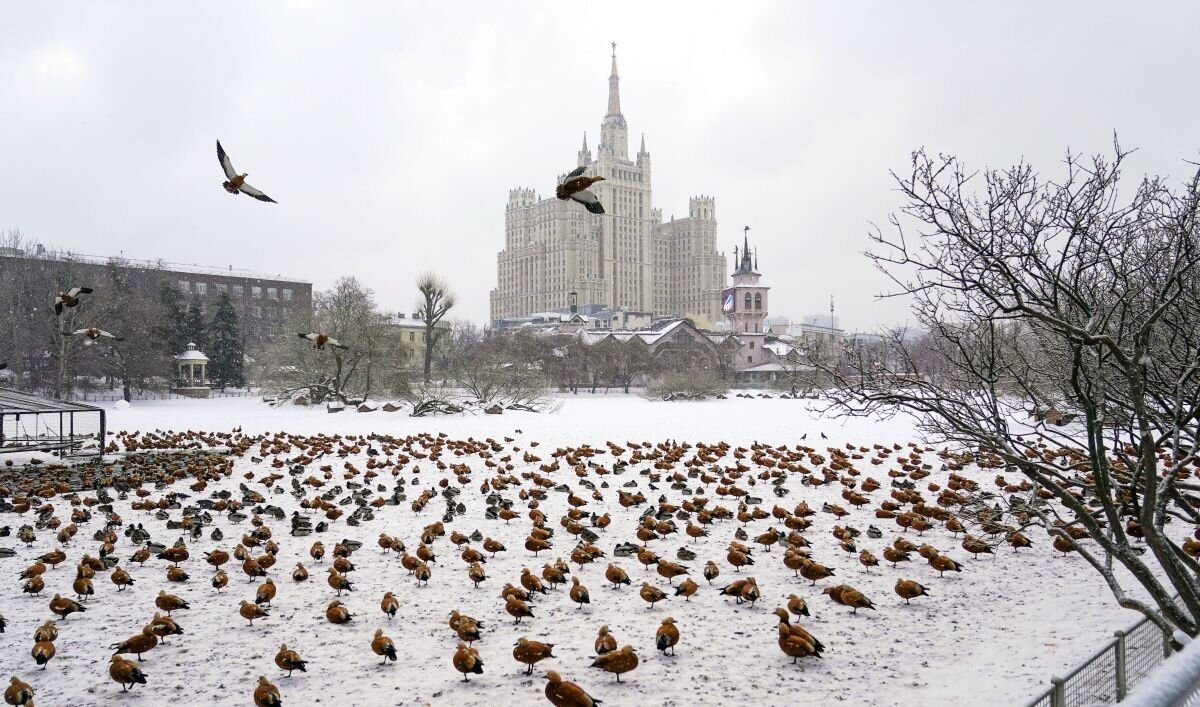     Москва. Источник: mos.ru Автор фото: Пресс-служба Мэра и Правительства Москвы