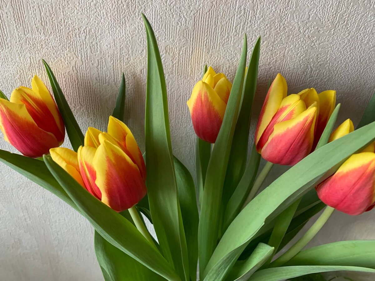 фото из личного архива