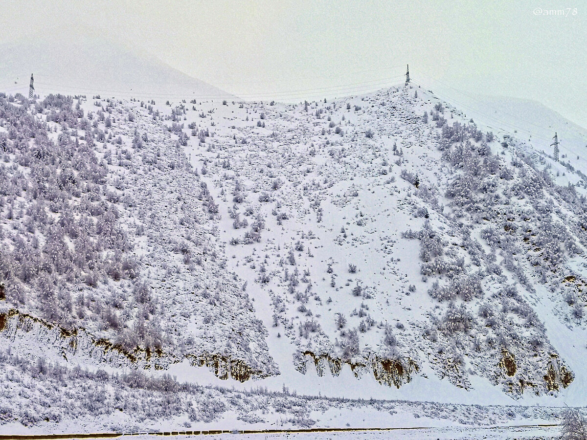 Huawei P20 Pro; ЭФР=57мм; f/1.8; 1/249; ISO 50