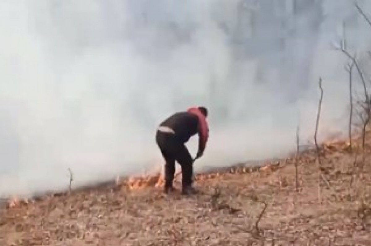    На Кубани под поселком Мезмай горит лес