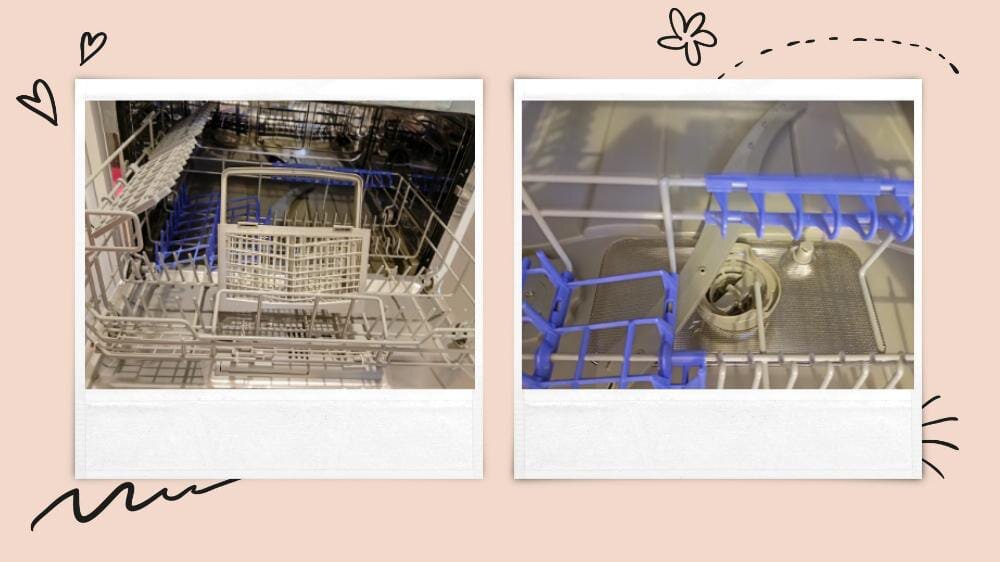 любимая помощница