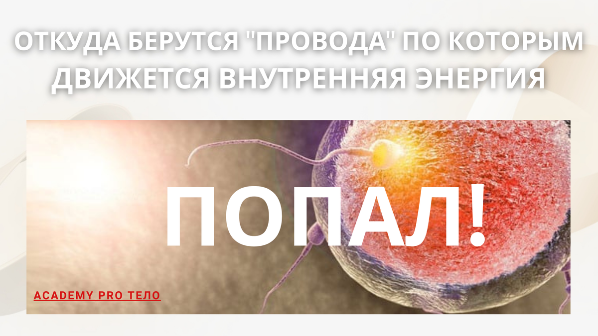 Вот встретились папа и мама. И была у них любовь. Сперматозоид папы ЧЕМПИОН - попал яйцеклетку мамы... А дальше что? Откуда энергия? Ведь до сих пор наука не может этот процесс повторить!!! А у человека 9 месяцев - и готово!