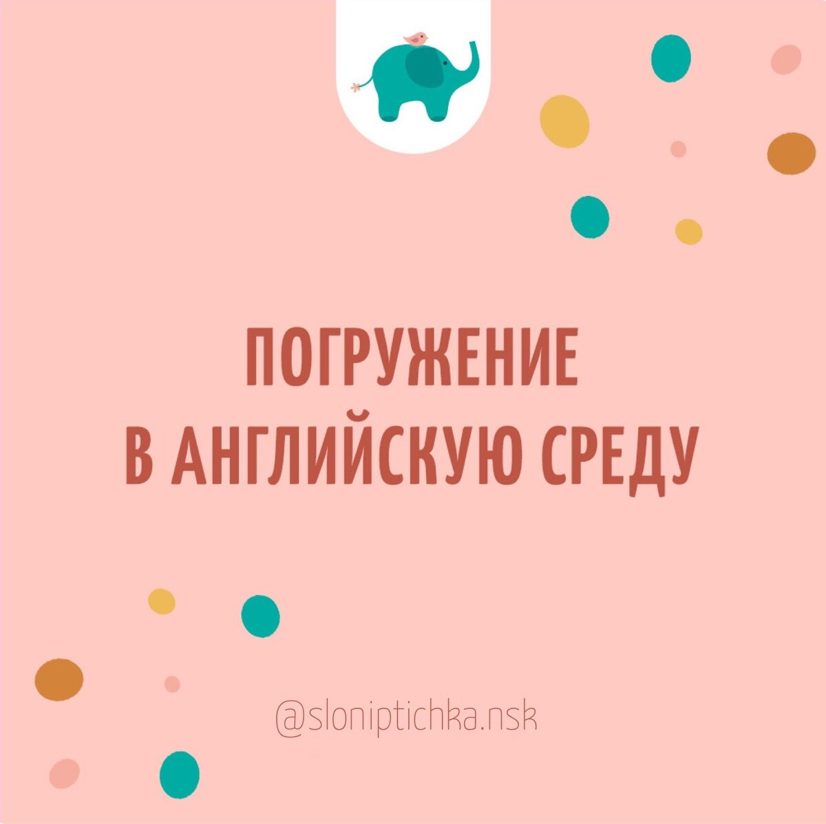 детский сад новосибирск, частный садик новосибирск