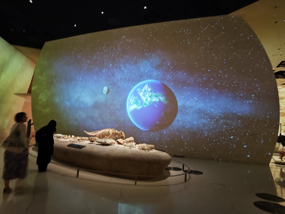 Экспозиция доисторического периода (фото из личного архива)