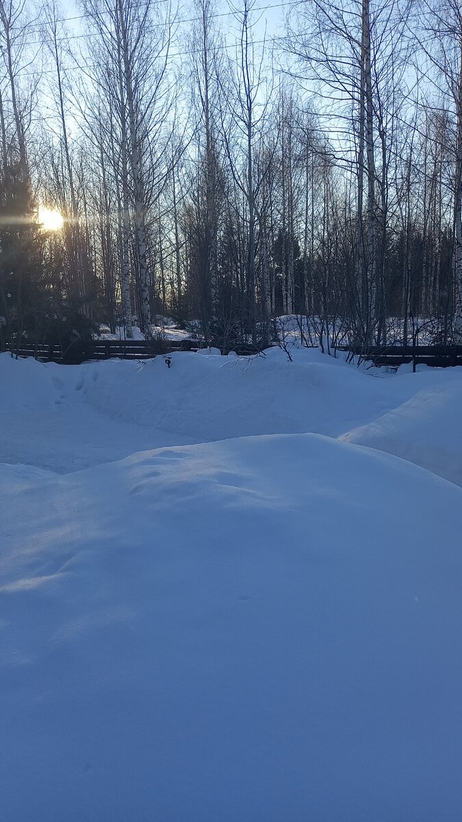 много-много еще снега 02.03.2024