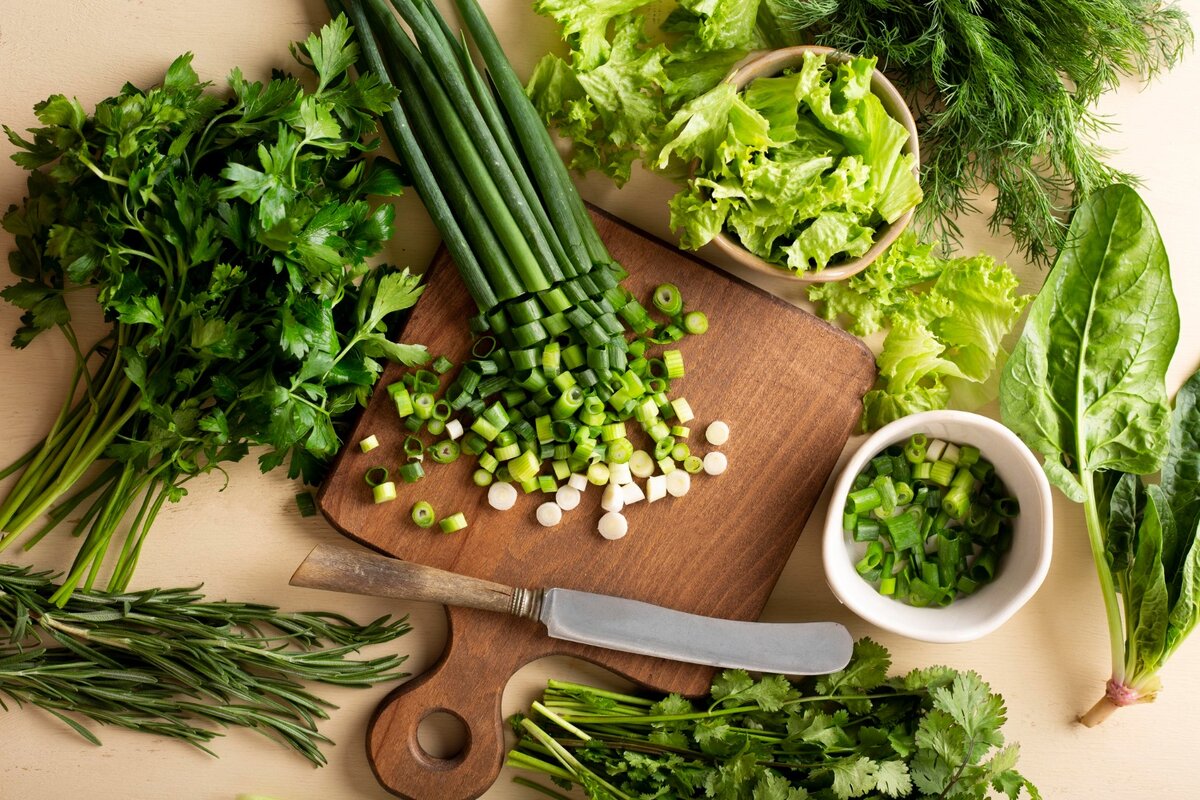 Блюда с зеленью. Микрогрин кинза. Салат весенний. Зелень для салатов. Блюда с зеленью.