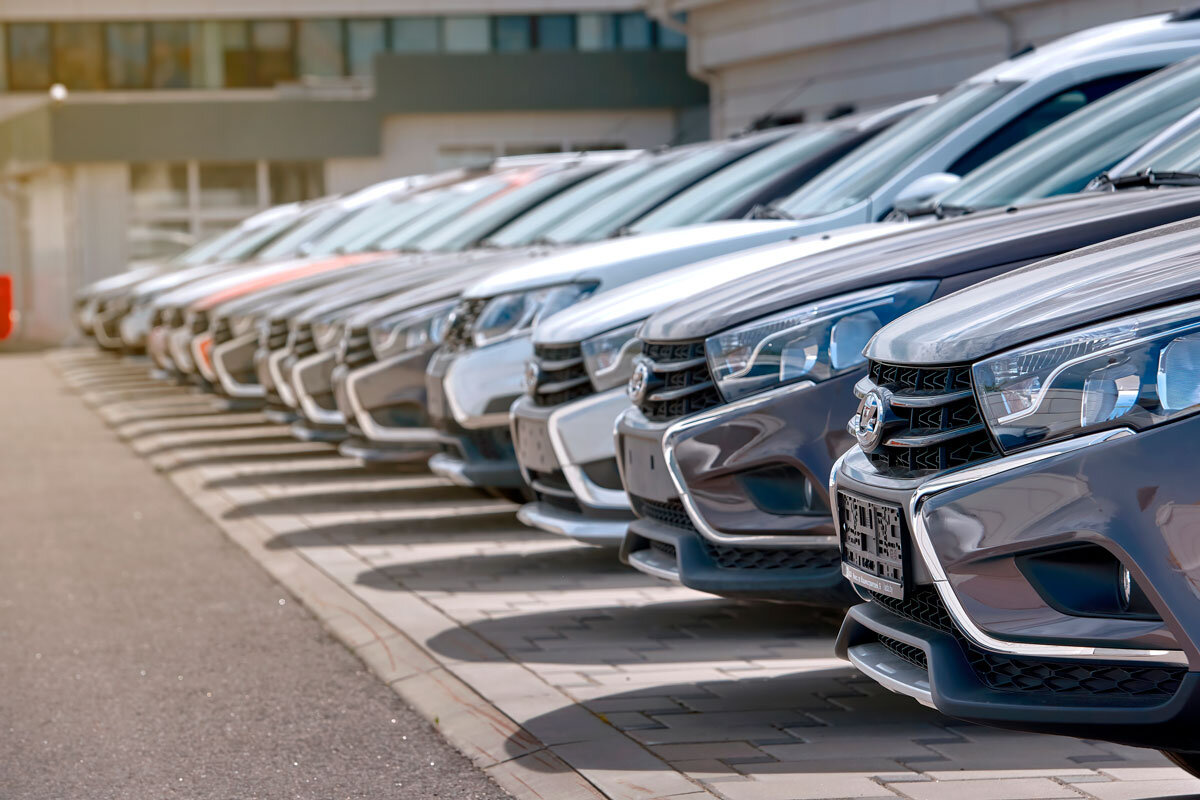    Фото: Tricky_Shark / Shutterstock.com