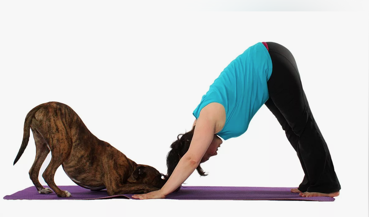 Ай да умнички! Все улучшают слух😁 Фото из открытого доступа