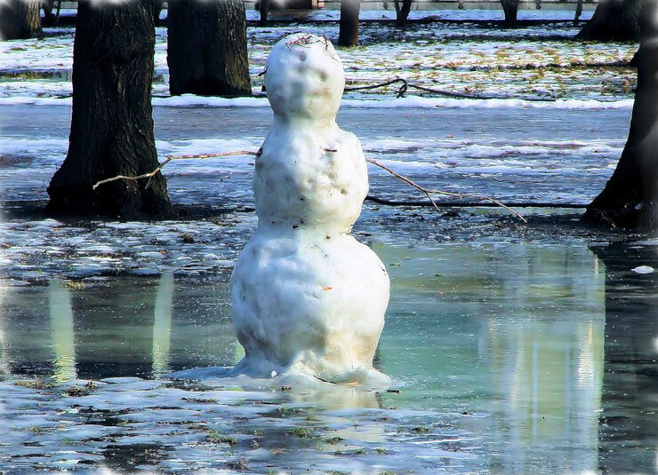 Фото из открытого источника