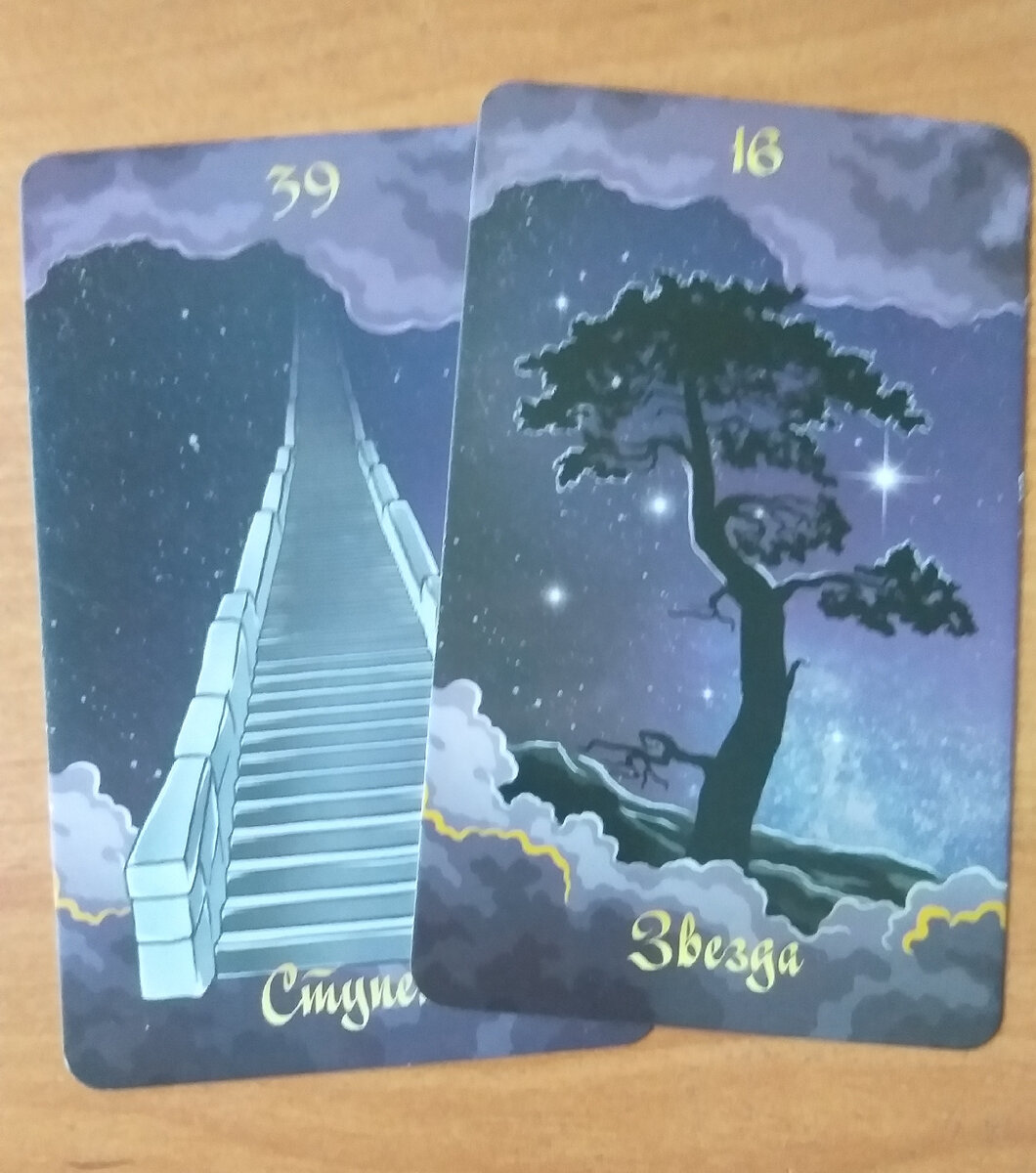 Фото автора. 