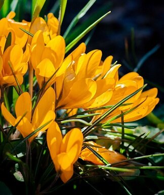 Изображение из открытого источника. Unsplash