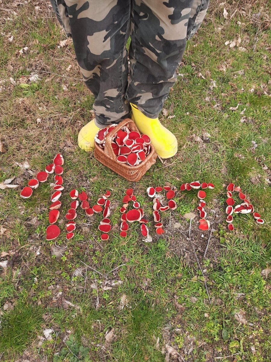 Грибной креатив) Фото Елена Толянова