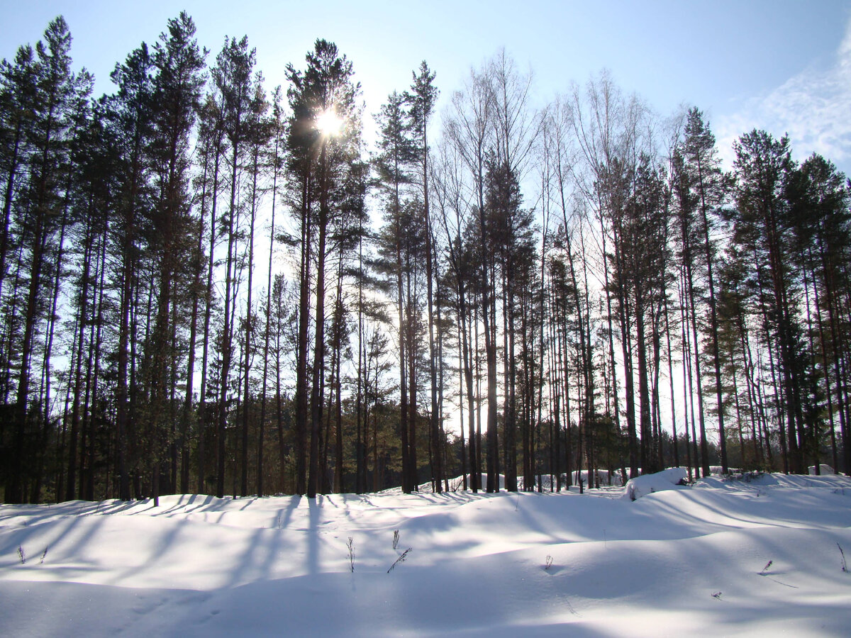 Фото автора. 2 марта