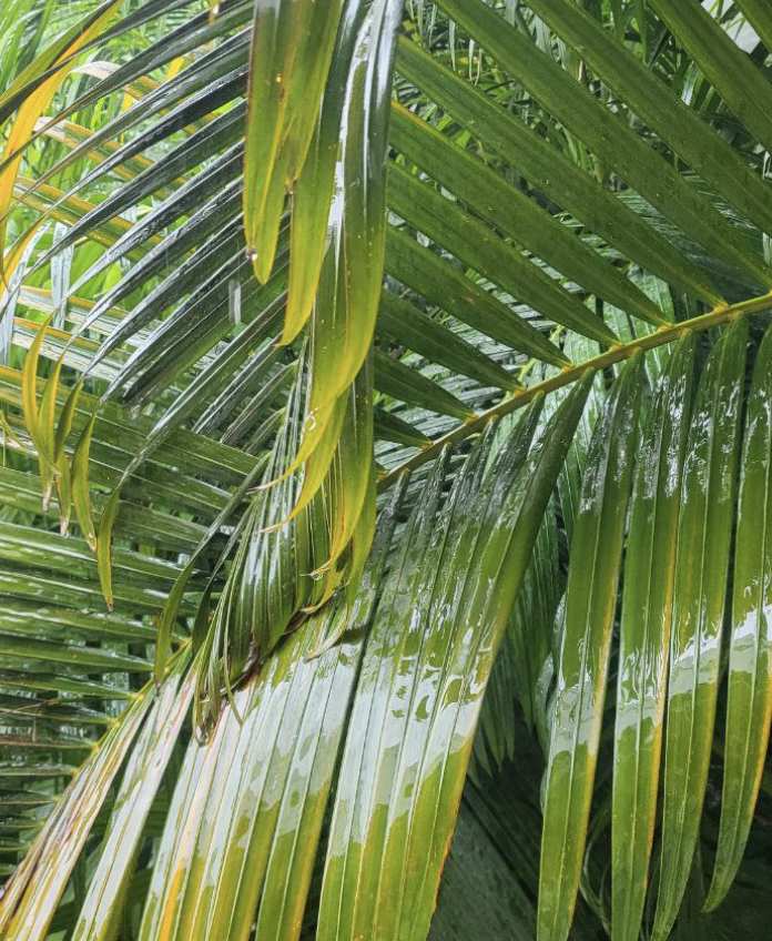 Фото из моего архива