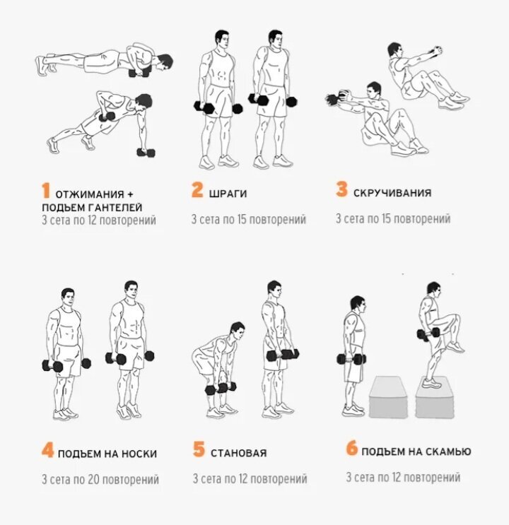 Изображение взято из открытых источников 