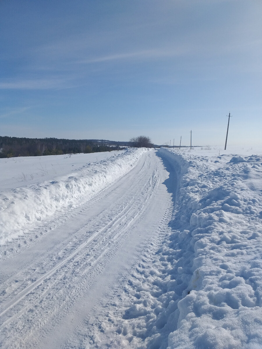 Фото 02.03.2024г.