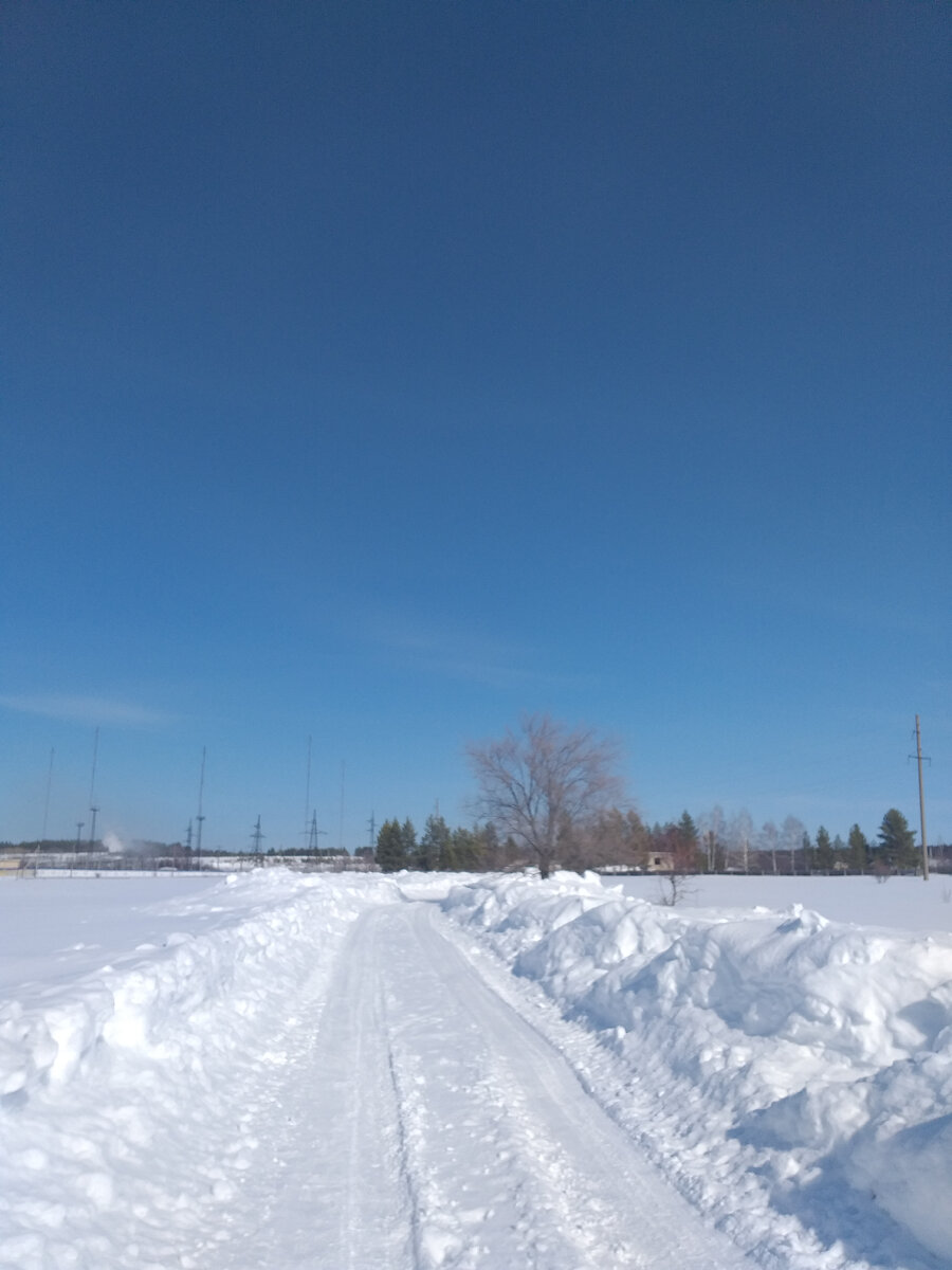 Фото 02.03.2024г.