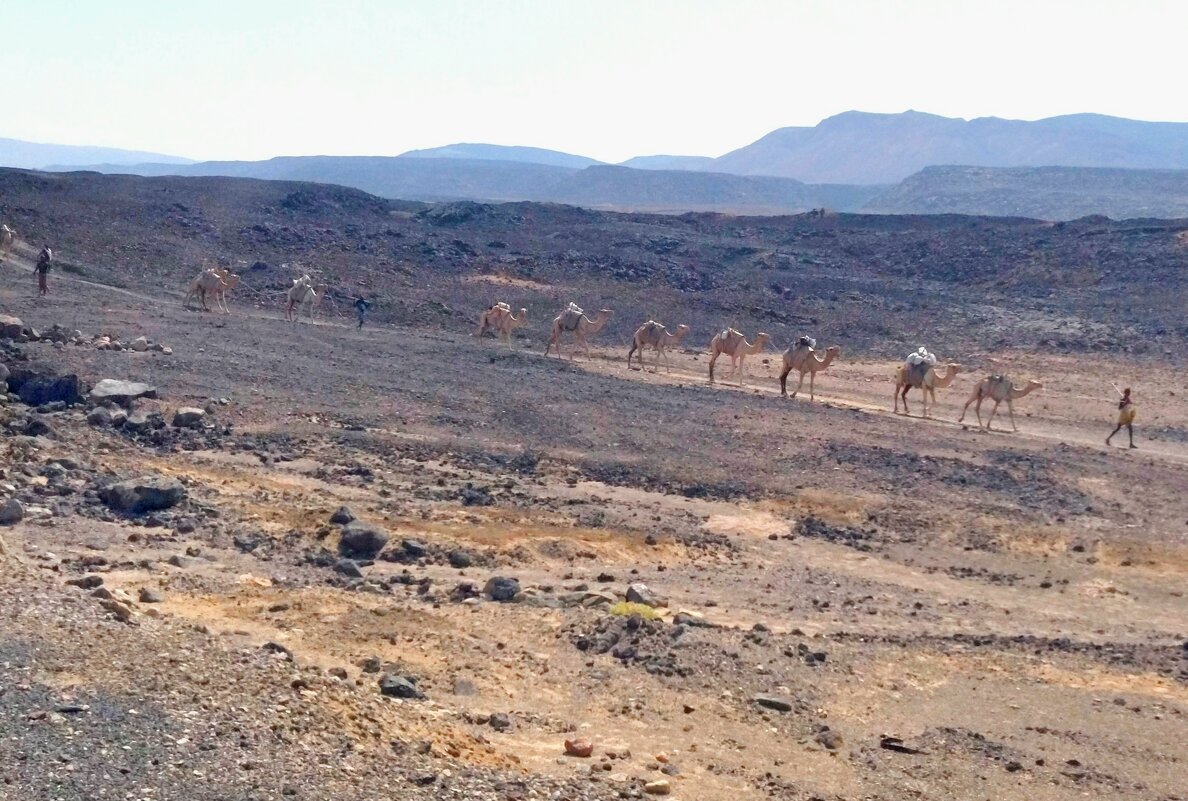 Вот она страна пустынь, верблюдов и непредсказуемой почты...