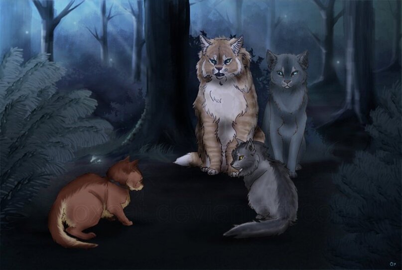 Большой рыжий кот это Львиногрив. Серая кошка это Синяя Звезда. Серый котёнок это Клубок. рыжий котёнок это Рыжик.