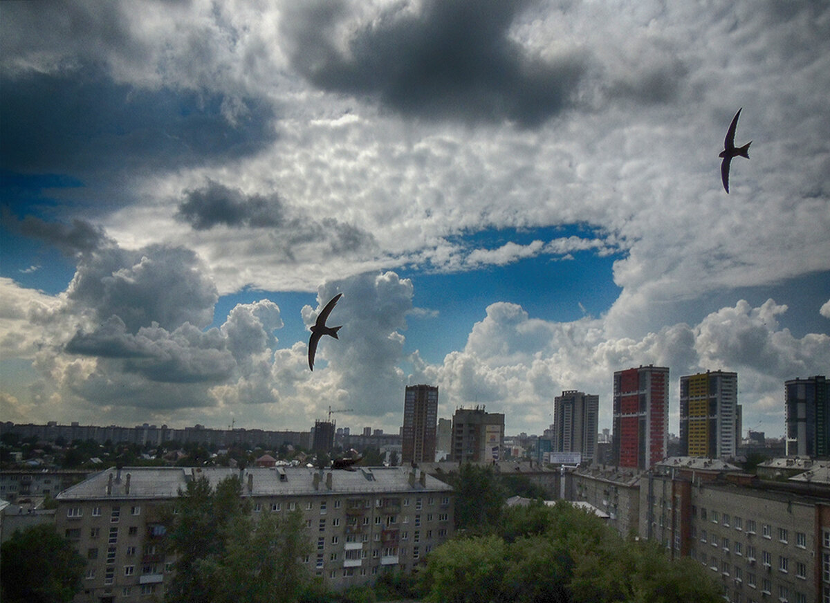 31 июля 2017 года. Летние облака во всей красе.