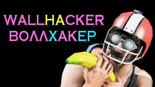 PUBG battlegrounds ( cheater cheat ) WALLHACK AIM читер