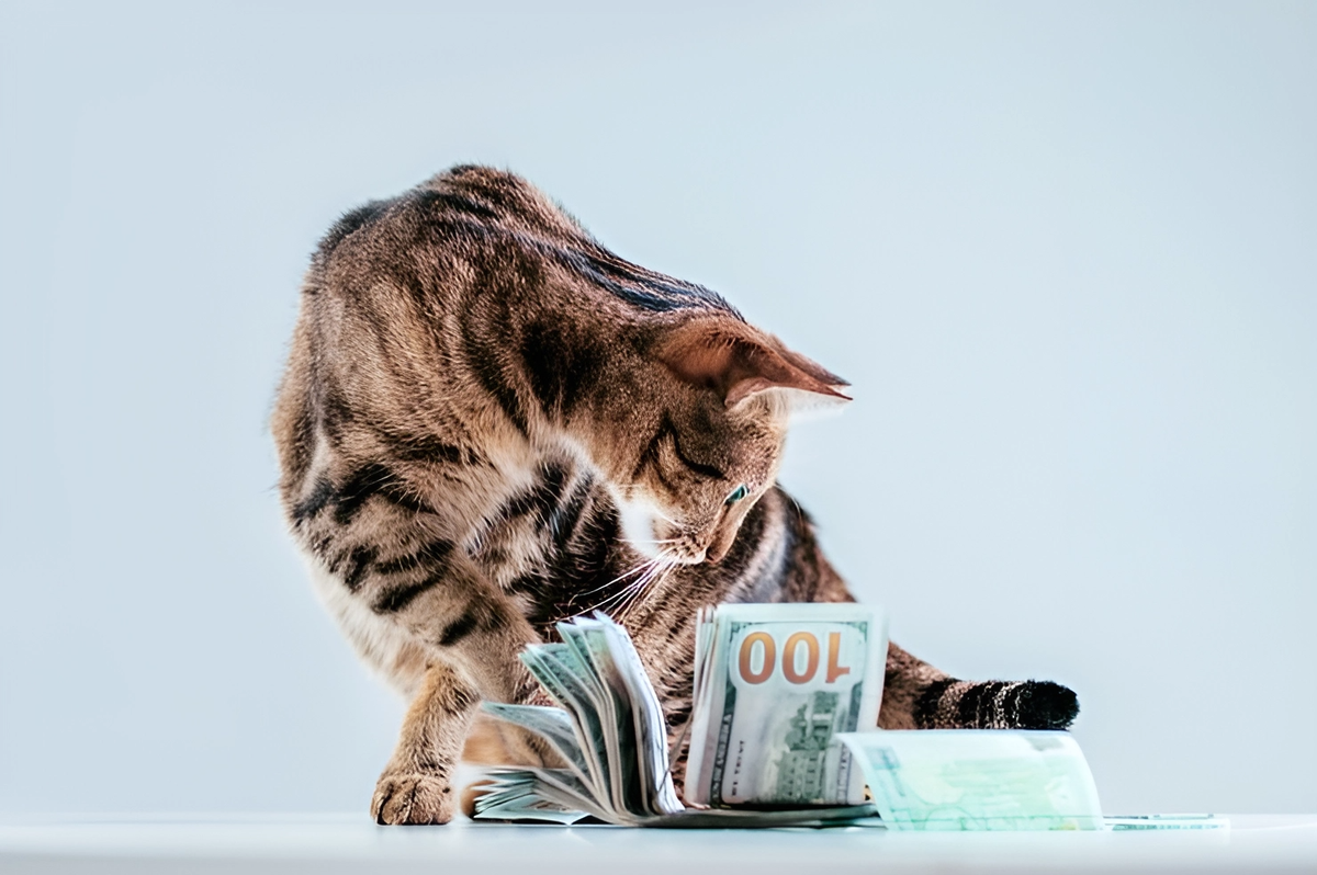 Считает сэкономленные деньги...