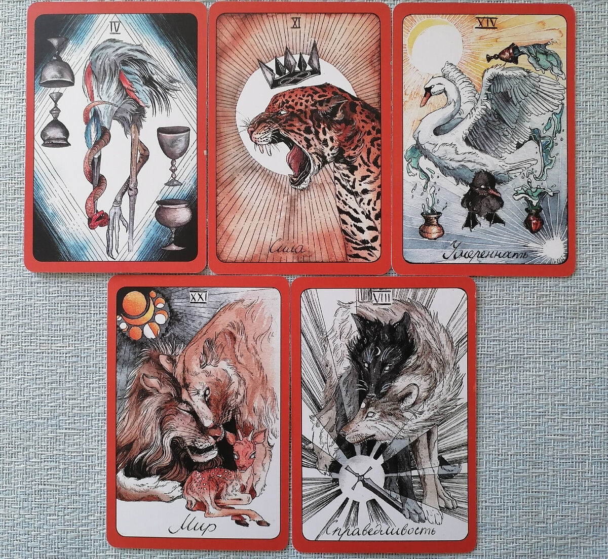 Фото автора.