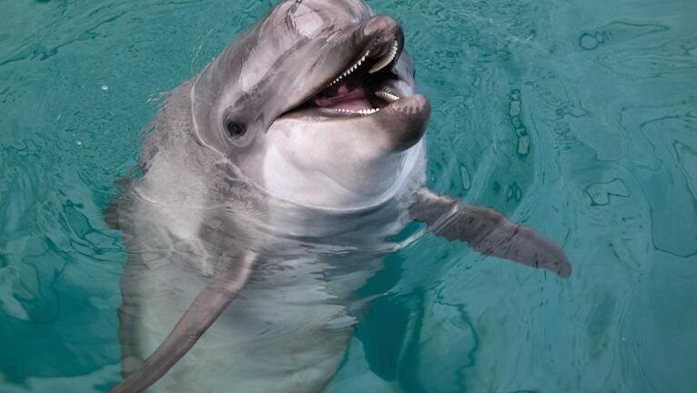 Источник: РИА «Новости»