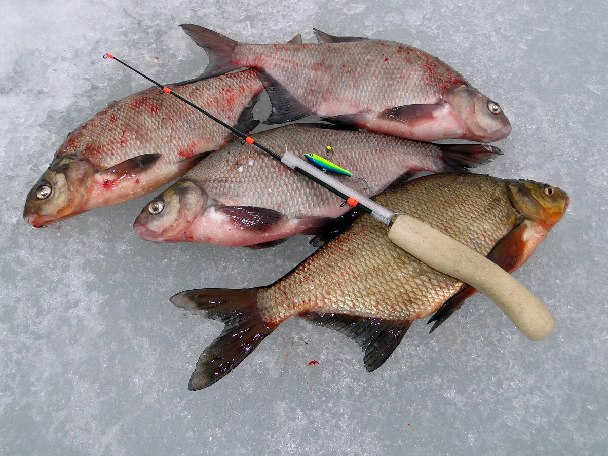 Эх, бывает и такое ))) Каюсь, грешен, но ни разу не злоупотреблял )))