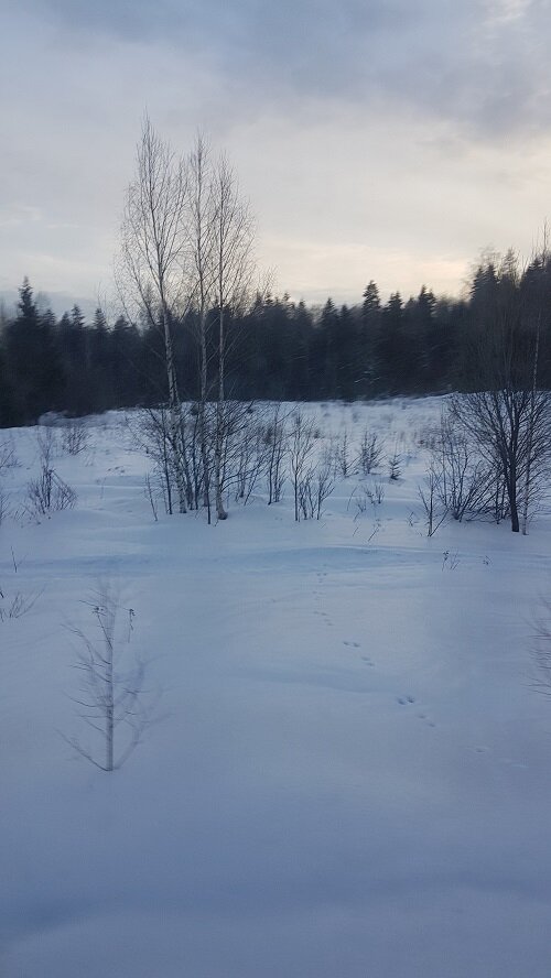 Вид из окна