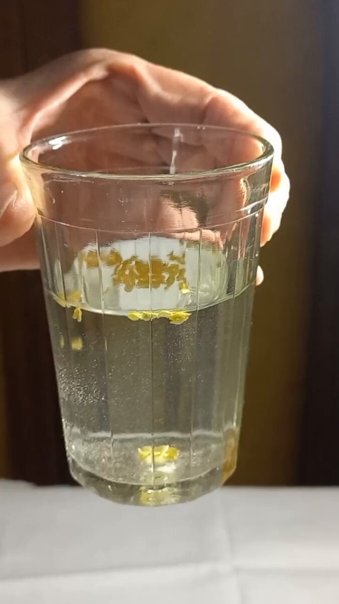 Проверка качества семян в солевом растворе