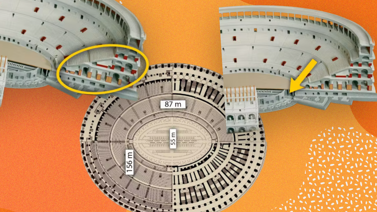 Зрители находили свое место в длинных коридорах, соединенных лестницами. Подвалы были заложены императором Домицианом. Там жили животные и Гладиаторы. 