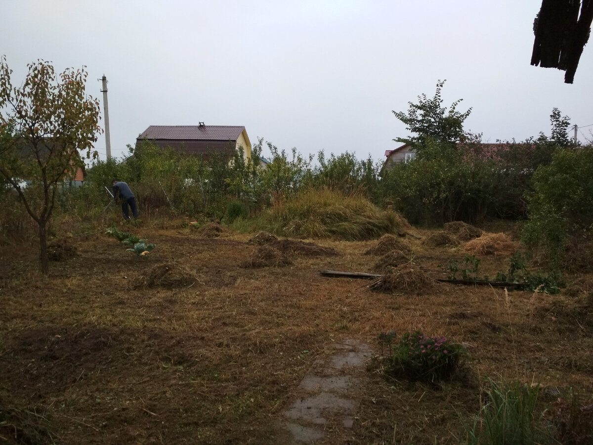 Наш Подмосковный участок осенью 2018 года - таким мы его купили тогда.