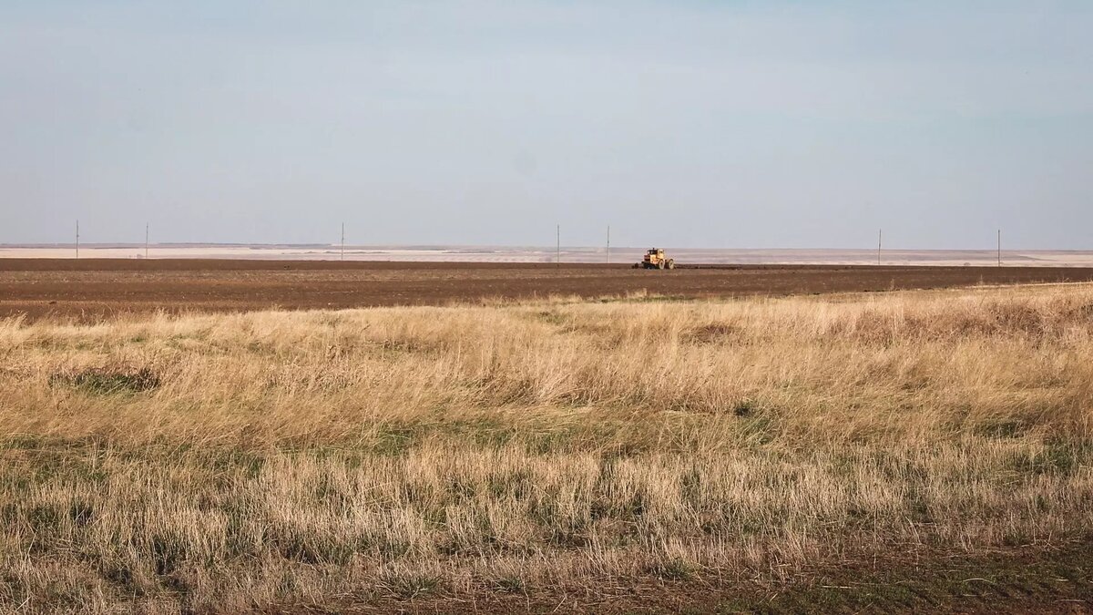     В Ростовской области стало больше неиспользуемых земель для ведения сельского хозяйства, точное число участков установят в ходе переписи в 2027 году, об этом сообщили донские СМИ.