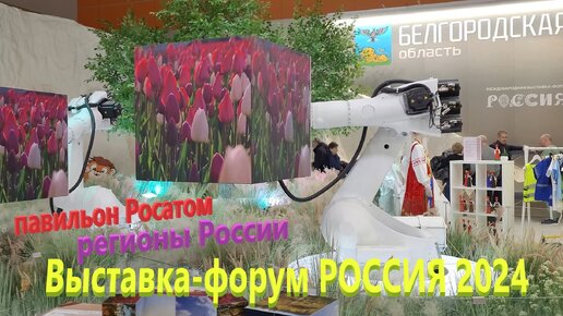 207. Выставка-форум Россия на ВДНХ. Павильон Атом - внутри реактора. Павильон 75 - регионы России.