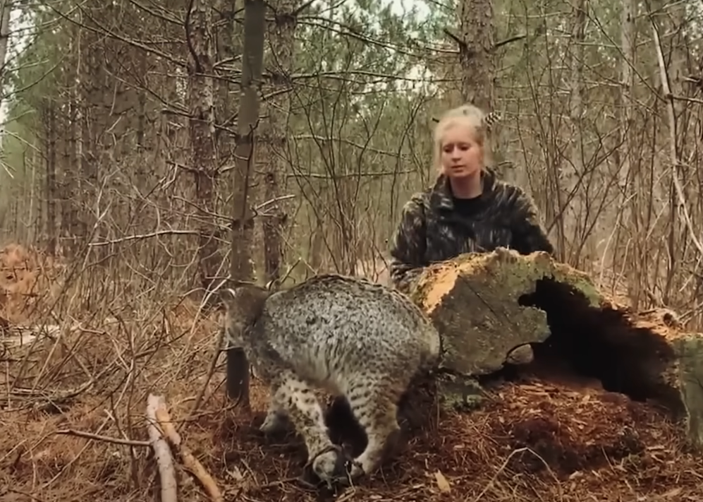 Введение Эмили выросла в маленьком уютном городке Дубовый Ручей, ну прямо сказка! Леса, холмы, чистая речка - какой малыш не мечтает о такой природе?-4