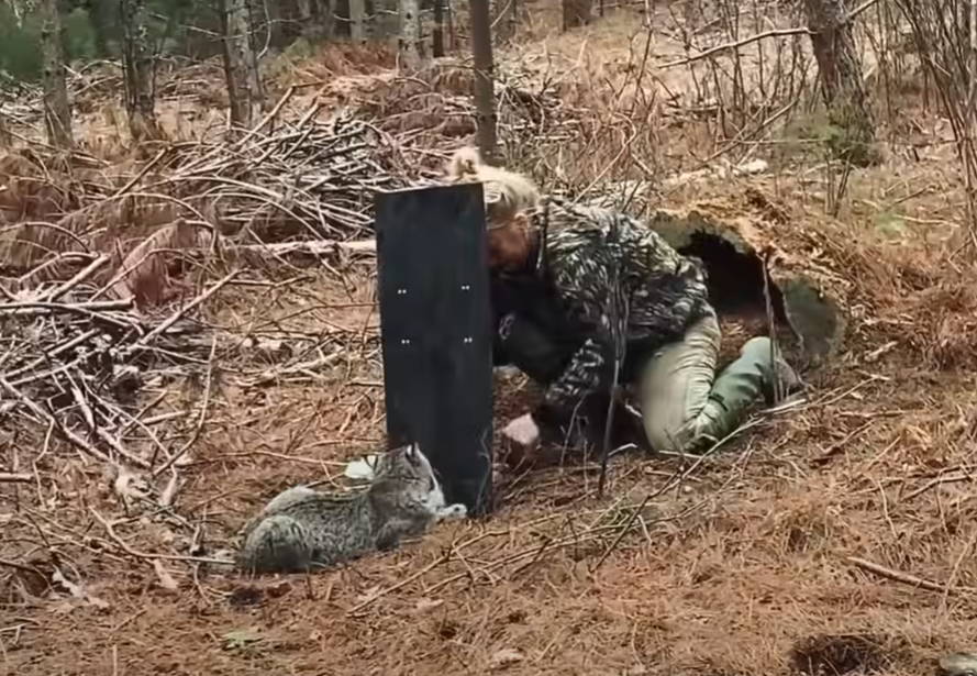 Введение Эмили выросла в маленьком уютном городке Дубовый Ручей, ну прямо сказка! Леса, холмы, чистая речка - какой малыш не мечтает о такой природе?-7