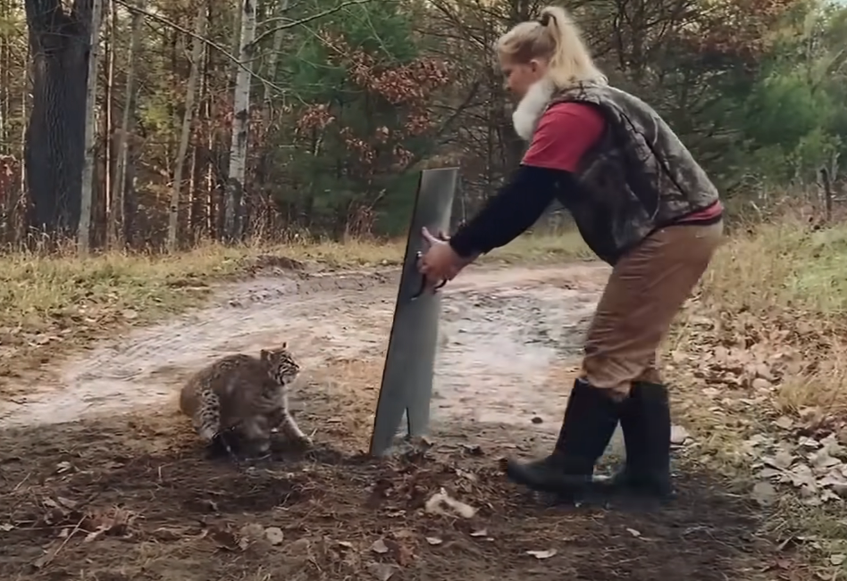 Введение Эмили выросла в маленьком уютном городке Дубовый Ручей, ну прямо сказка! Леса, холмы, чистая речка - какой малыш не мечтает о такой природе?-5